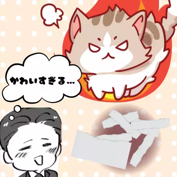 【衝撃】「かわいすぎる…」レポート作成が忙しく愛猫と遊べなかった結果→“嫉妬ゆえのトンデモ行動”に驚愕…