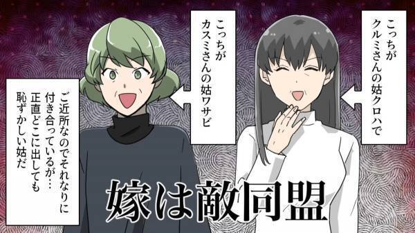 義母が嫁を前科者に！？『嫁嫌い』のW義母がタッグを組んで計画…【まさかの発想】に唖然！！