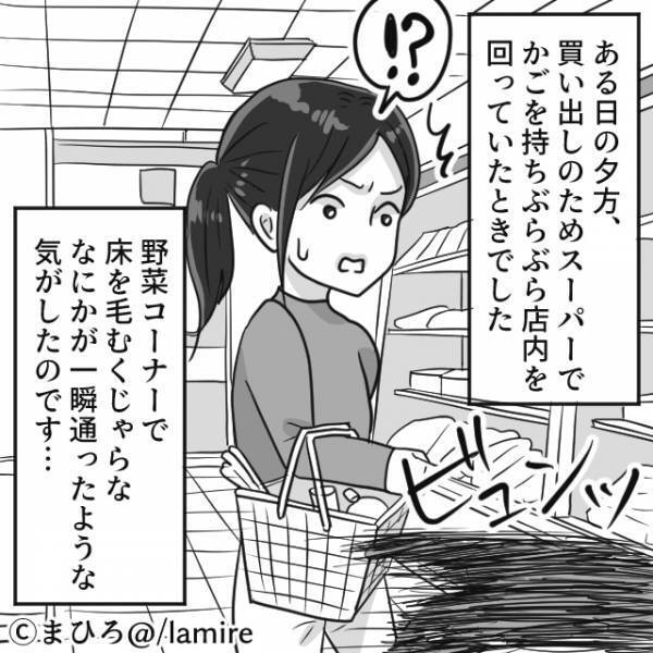 スーパーで買い物中…”なにか”が横切った！？その後店内は大騒ぎに…→そのまさかの『正体』に衝撃！！