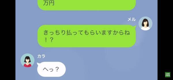 姉「合計110万円返してね」妹「へっ！？」⇒家族の『クレカ』を不正利用した妹の末路＜LINEエピソード＞