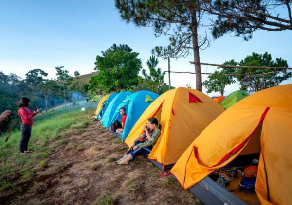 キャンプ場で…客「早く来てください！」スタッフ「何なのこれ」→目の前に広がった『最悪の光景』にゾワッ…