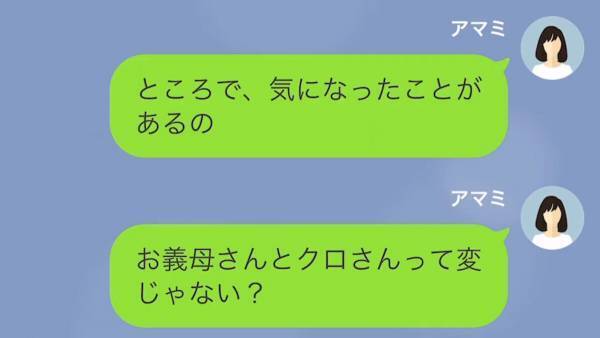 義母が10日間のハワイ新婚旅行に襲来！？嫁「お義母さんの様子が変？」⇒7日後、義父が『救急搬送』され帰国すると…衝撃の事実に驚愕！