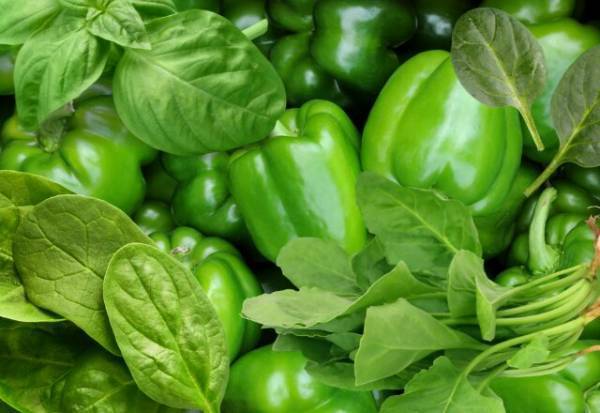 【青い食材】「ほうれん草」「ピーマン」「緑茶」…この食材の共通点知ってる？