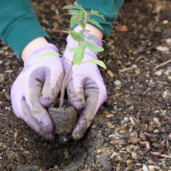 使用済みカイロ、そのまま捨てるのちょっと待って！意外な再利用法3選！