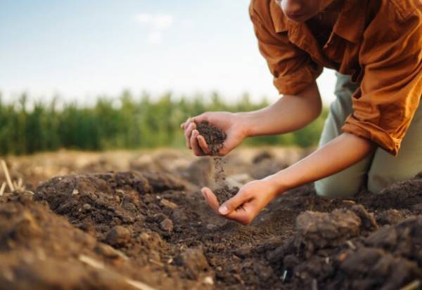 『たまごの殻』捨てるのちょっと待って！意外な再利用方法あるんです