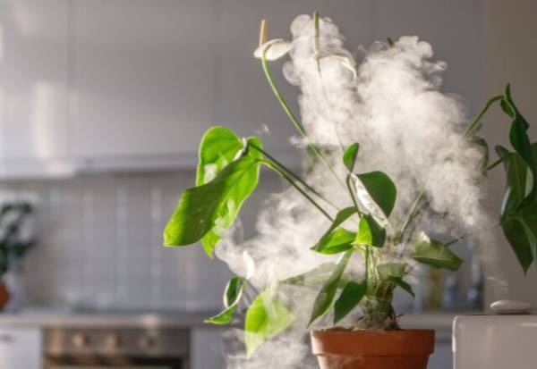 加湿器なしでも！？家電なしでもできる【加湿の方法】