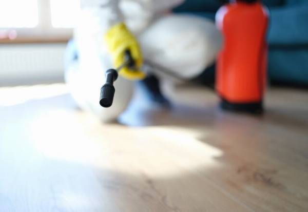 カビってどうやってできるの？対策を解説！