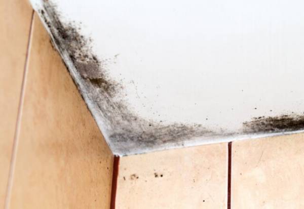 【頑固な黒カビさようなら！】片栗粉をつかった掃除術とは