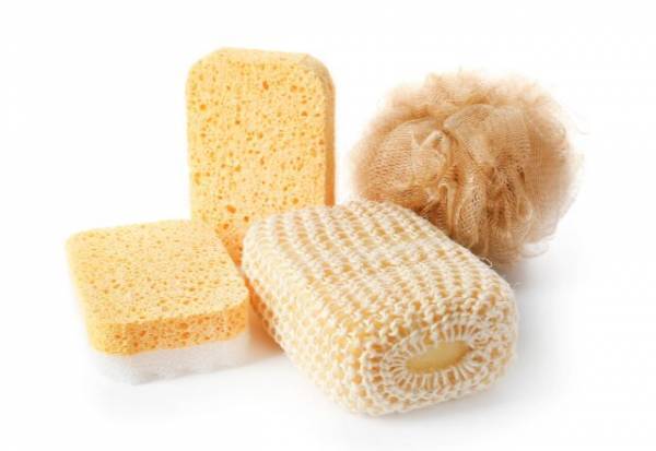 スポンジ・たわしの適切な管理できてる？