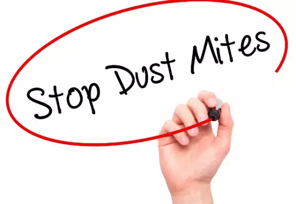 布団のダニ対策しっかりしたい！ポイントを解説！