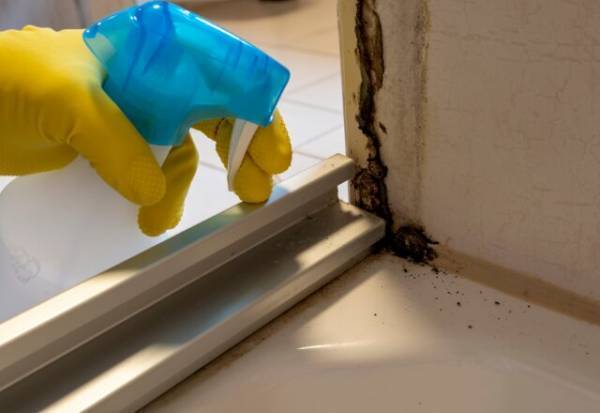 【浴室のパッキン】カビの予防と掃除方法を解説！