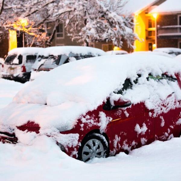 大雪警報で保育園がお休みに。家にこもっていると…『ピンポーン…』大雪のなか訪れた”まさかの客”に「ちょっと…！！」