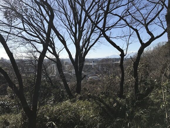 横浜市港北区「大倉山」の住みやすさと子育て環境