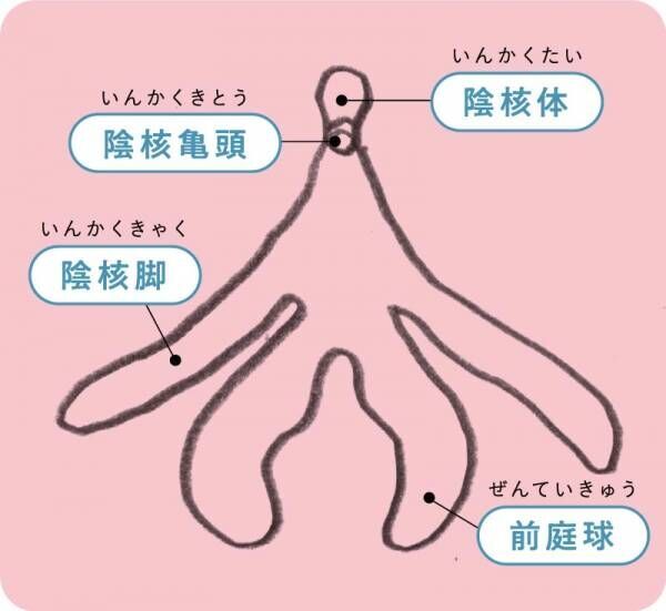 【前編】カラダを愛し、じっくり育てる、自分のためのセクシュアルケア。