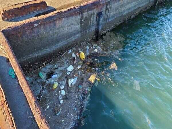 井上咲楽「海洋ゴミの意外な側面を知った」今注目のエコ活動って？