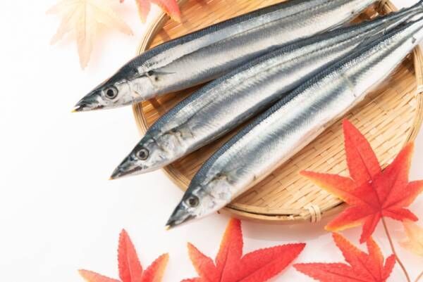 “秋刀魚”はグリルで焼かないほうがいい!?【管理栄養士監修】旬の食材で「栄養を無駄なく摂る方法」5つ