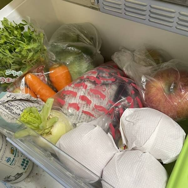 トマトはそのまま冷蔵庫に入れちゃダメ！？ 実は知らなかった「食べ物保存のコツ」