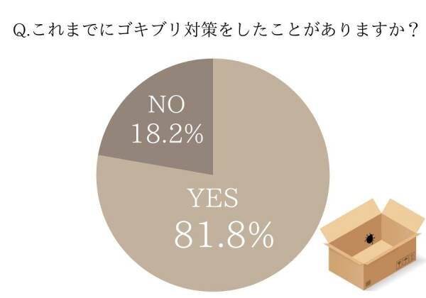 ゴキブリ最悪…虫嫌いはやってみて！【女性約100人調査】我が家のダニ・カメムシ・ゴキブリ対策