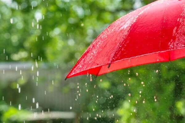 1本のビニ傘を5年愛用！【女性約100人調査】おすすめの「レイングッズ」雨の日事情