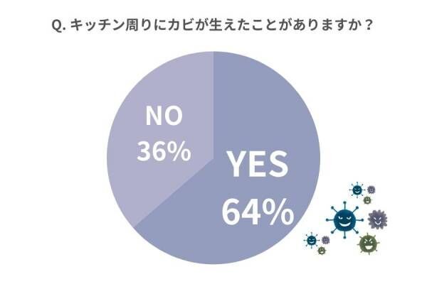 「ハイター×片栗粉が最強です！」【女性約100人調査】キッチンのカビ対策