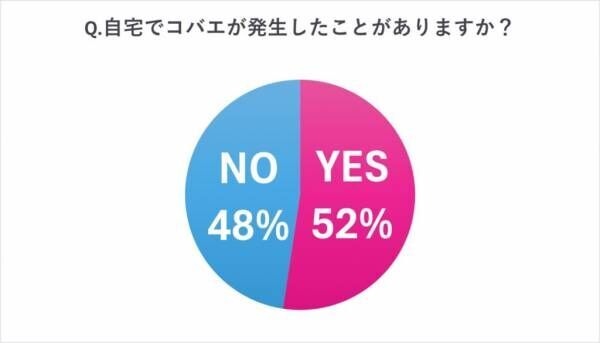 蚊に刺されるNG行動は？【女性約100人調査】蚊・コバエ対策&amp;悲惨エピソード