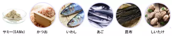 愛犬愛猫の【肝臓・関節・脳】の悩みにダイレクトに届く！大好評「サミーフィッシュ」＆「サミーミート」両方もらえる試食用＼20名様にプレゼント！／