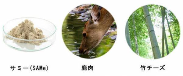 愛犬愛猫の【肝臓・関節・脳】の悩みにダイレクトに届く！大好評「サミーフィッシュ」＆「サミーミート」両方もらえる試食用＼20名様にプレゼント！／