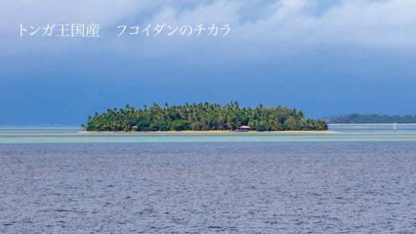 若返り成分を見える化　美容液「RejuingSerum - リジュイングセラム -」発売！