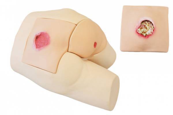 東京都中小企業振興公社の支援企業が「第23回日本褥瘡学会学術集会オンライン企業展示」に出展！