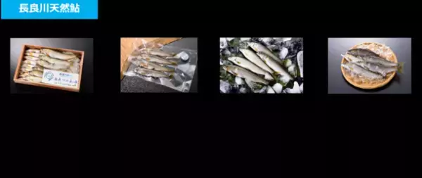 夏の風物詩、鮎シーズン真っ盛り！“世界農業遺産”「清流長良川の鮎」に関する情報を紹介