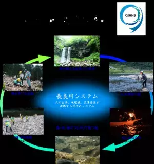 夏の風物詩、鮎シーズン真っ盛り！“世界農業遺産”「清流長良川の鮎」に関する情報を紹介