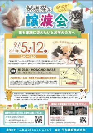『保護猫と里親様』をお繋ぎする活動をしているグループ『チームピコ22(ニャンニャン)』が保護猫 譲渡会を開催