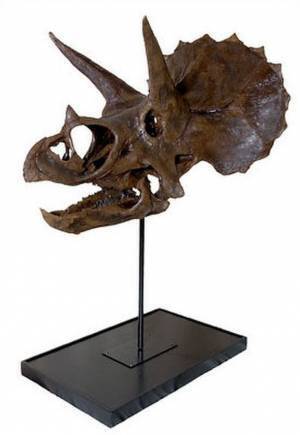 ～恐竜とアートのコラボレーション～「Gr8！こぶりな恐竜展」が横浜赤レンガ倉庫1号館で9月4日(土)より開催！有名アーティストとのコラボで大人気のYOICHIRO氏制作「恐竜アート」の展示も決定！