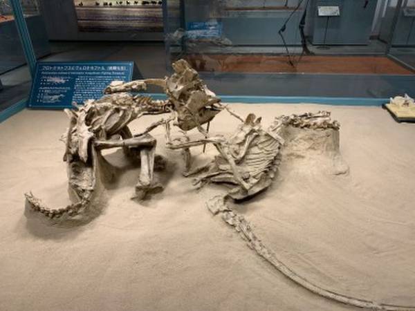 ～恐竜とアートのコラボレーション～「Gr8！こぶりな恐竜展」が横浜赤レンガ倉庫1号館で9月4日(土)より開催！有名アーティストとのコラボで大人気のYOICHIRO氏制作「恐竜アート」の展示も決定！