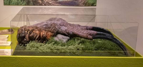 ～恐竜とアートのコラボレーション～「Gr8！こぶりな恐竜展」が横浜赤レンガ倉庫1号館で9月4日(土)より開催！有名アーティストとのコラボで大人気のYOICHIRO氏制作「恐竜アート」の展示も決定！