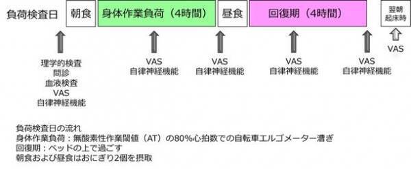 にんにく中希少成分 S-アリルシステインを機能性関与成分とした機能性表示食品の届出が受理