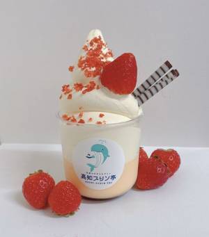 オープン10日間でプリン10,000個を販売した高知県初のご当地プリン専門店「高知プリン亭」から新フレーバーが登場！『夏いちごプリン』と『プリンパフェ』を販売開始