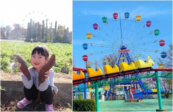 コロナ禍でも安心して楽しめる屋外レジャー！むさしの村 秋の恒例イベント「さつまいも掘り」9月18日(土)より開催