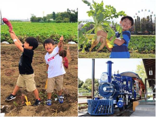 コロナ禍でも安心して楽しめる屋外レジャー！むさしの村 秋の恒例イベント「さつまいも掘り」9月18日(土)より開催