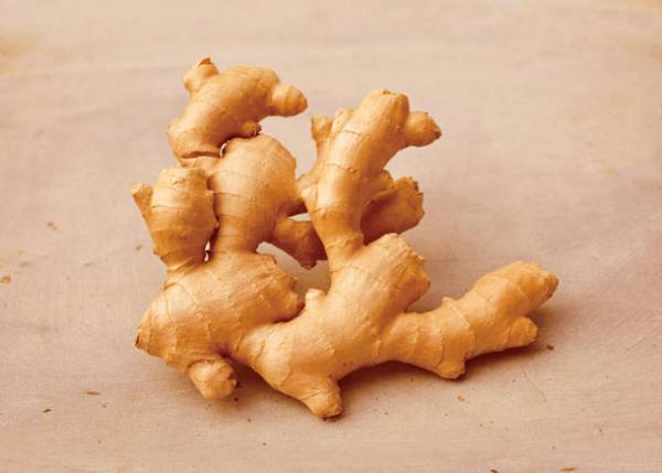 有機ジンジャーのエキスの潤いが、冷たく乾いた肌を守る秋冬限定「リーフ＆ボタニクス ジンジャー」9月15日リニューアル