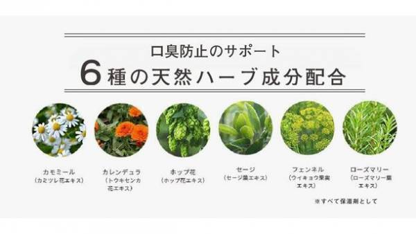 泡で始めるオーラルケア第二弾！超微細泡で洗う新感覚マウスクレンジング「オーラニック ナノバブルマウスウォッシュ」を9月2日よりMakuakeにて先行販売開始