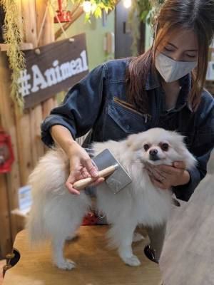 おかげさまで開業3周年　「動物たちが暮らす森のカフェ Animeal(アニミル)」に新たな動物たちが仲間入りし、触れ合い体験が更にパワーアップ！