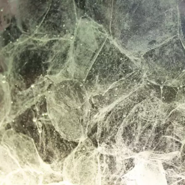 #洗濯ブラザーズがサスティナブルなランドリーライフの発信拠点として東京/三宿に2021年9月24日(金)クリーニング店「LIVRER MISHUKU」をオープン！