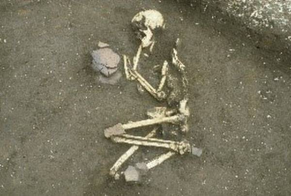 (仮称)市原歴史博物館開館プレイベント講演＆シンポジウム「最新科学が解明する縄文社会」を開催