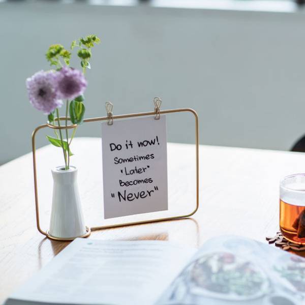 “暮らしのオプション”を提案「Opt!／オプト」オープン　～Opt!アイテムでおうち時間を快適に～