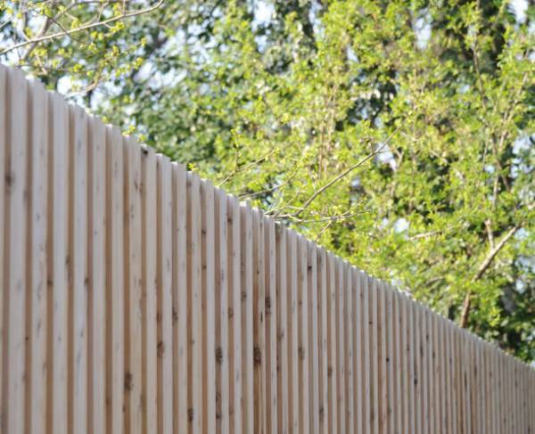 コロナ禍のおうち時間を木のある暮らしで豊かに　全国木材組合連合会、ラブキノヘイメールマガジン9月10日創刊