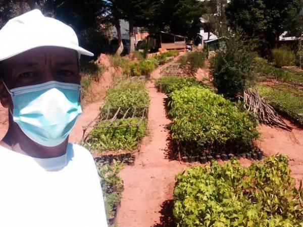 マダガスカルで在来樹による自然回復を目的にCAMPFIREにてクラウドファンディングを開始　終了まで残りわずか