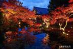 通常非公開の京都・くろ谷　金戒光明寺　2021年11月12日～12月5日 秋の特別拝観を開催