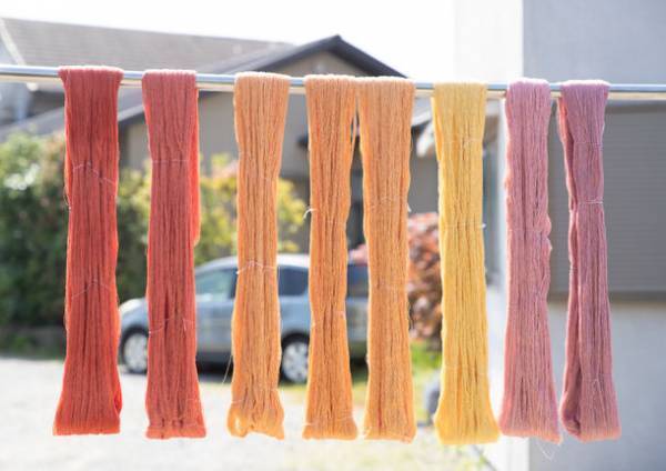 日本茜の色彩文化を復興・発展させる「Japanred project」のオフィシャルサイトを開設！　～幻の植物“二ホンアカネ”で世代を繋ぐ6次産業化にトライ～