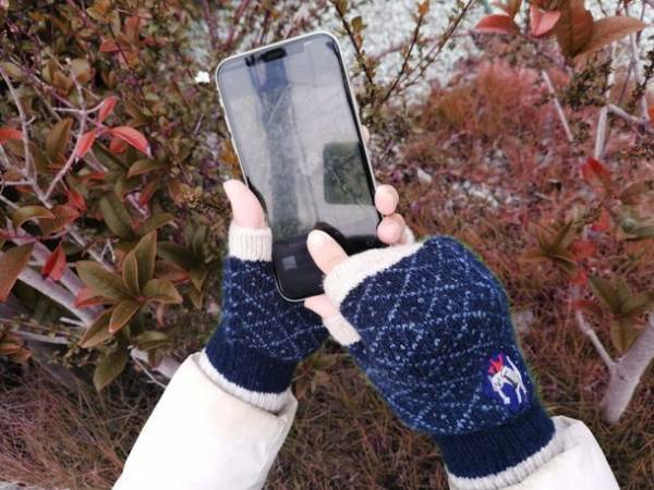 創業72年、香川県の老舗手袋メーカーが動物愛護団体への寄付につながる手袋の先行販売を9月19日より開始